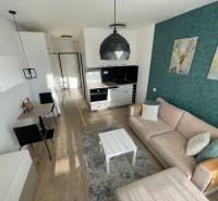 Innenraum einer 1-Zimmer-Wohnung mit Küche, bequemer Couch und Boden mit Holzdekor.