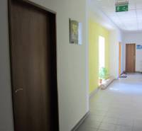 Der Flur mit Türen und einer Pflanze in der Štúrova-Straße führt zu den Büros.