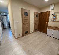 Der Innenraum des Flurs mit Eingangstüren und einem Boden in Holzoptik in einer 4-Zimmer-Wohnung.