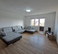 Wohnzimmer in einer 4-Zimmer-Wohnung mit einem bequemen grauen Sofa und einem Boden in Holzoptik.