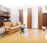 Wohnzimmer in einer Einzimmerwohnung mit Holzboden und einem bequemen Sofa.