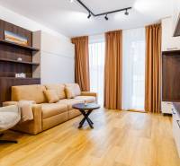 Wohnzimmer mit Sofa, Sessel und Holzboden in einer Einzimmerwohnung.