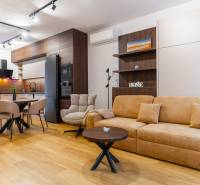 Innenraum einer Einzimmerwohnung mit hellem Boden in Holzoptik und gemütlicher Sitzecke.