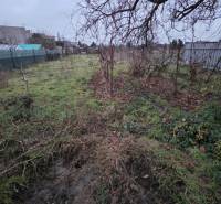 Der Garten im Einfamilienhaus in der Hauptstraße in Veľká Mača, mit Umzäunung und Natur.