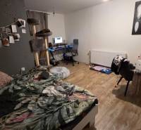 Schlafzimmer im Einfamilienhaus mit Computertisch, Dekorationen und Boden mit Holzdekor.