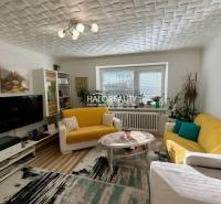 Wohnzimmer in einer Zweizimmerwohnung mit Holzboden, gelbem Sofa und Dekorationen.