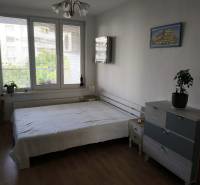 Schlafzimmer in einer 2-Zimmer-Wohnung mit Holzboden und großen Fenstern.