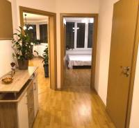 Der Flur in einer 2-Zimmer-Wohnung mit einem Holzboden und Pflanzen.