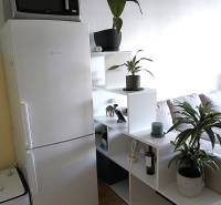 Küchenecke in einer 2-Zimmer-Wohnung mit einem weißen Kühlschrank und Pflanzen auf den Regalen.