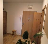 Flur in einer 2-Zimmer-Wohnung mit Holzboden und einer grünen Pflanze.