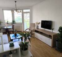 Wohnzimmer in einer 2-Zimmer-Wohnung mit Holzboden und vielen Pflanzen.