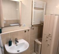 Badezimmer in einer 2-Zimmer-Wohnung mit Waschbecken, Schrank und Handtuchheizkörper.