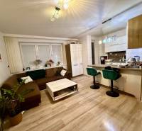 Wohnzimmer und Küche in einer Zweizimmerwohnung mit Holzboden.