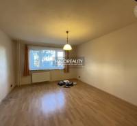 Wohnzimmer in einer 3-Zimmer-Wohnung mit Holzboden und großem Fenster.