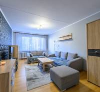 Wohnzimmer mit Sofa, Holzmöbeln und dekorativer Wand in einer 2-Zimmer-Wohnung.