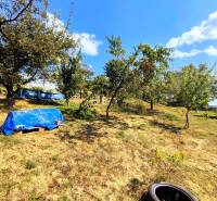 Der Garten bei der Hütte in Partizánske mit Obstbäumen und einem blauen Pool.