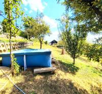 Auf dem Bild ist ein Garten mit einem Pool und einer Hütte, umgeben von Bäumen und Grünflächen.