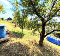 Am Hang gibt es Bäume, einen Rasen, eine Hütte und ein überdachtes Schwimmbad in einem geräumigen Garten.