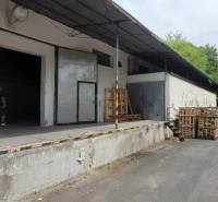 Lagerhallen und Schuppen in der Eisenbahnstraße mit Paletten und Unterstand, daneben sind Büsche.