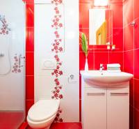 Badezimmer in einer 2-Zimmer-Wohnung mit roten Fliesen und einer Dusche, verziert mit Blumenmuster.