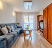 Wohnzimmer in einer Zweizimmerwohnung mit Holzboden, bequemer Couch und Wohnwand.