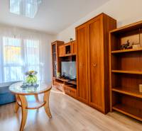 Wohnzimmer in einer 2-Zimmer-Wohnung mit Sofa, Holzboden und Möbeln.