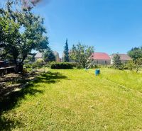 Ein Garten in Boleráz mit Rasenfläche und Obstbäumen.