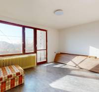 Helles Zimmer in einem Einfamilienhaus mit großen Fenstern und einem Sofa, heller Innenraum.