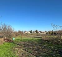 Einfamilienhaus in der Podzáhradná-Straße in Iža mit großem Garten und Bäumen.