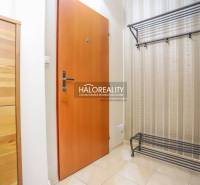 Eingangsflur einer 2-Zimmer-Wohnung mit Schuhschrank und Wandgarderobe.