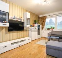 Wohnzimmer in einer 2-Zimmer-Wohnung mit Holzboden und bequemer Couch.