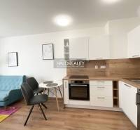 Küche in einer Einzimmerwohnung mit Holzboden und hellen Möbeln.