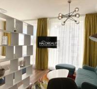 Wohnzimmer mit durchscheinenden Vorhängen, Holzboden und Bücherregal in einer Einzimmerwohnung.