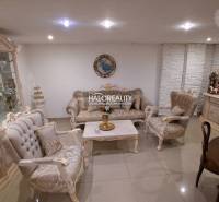 Luxuriöses Wohnzimmer eines Einfamilienhauses mit reicher Dekoration und elegantem Mobiliar.