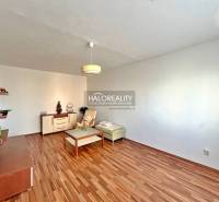 Wohnzimmer in einer 3-Zimmer-Wohnung mit Holzboden, Minimalismus, helle Wände, Möbel.