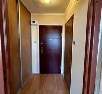 Eingangsflur in einer Einzimmerwohnung mit Holzboden und Schränken.