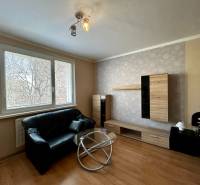 Wohnzimmer mit Sofa, Couchtisch und Holzboden in einer Einzimmerwohnung.