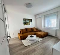 Helles Wohnzimmer in einer Zweizimmerwohnung mit braunem Sofa und Couchtisch auf einem Boden mit Holzdekor.