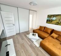 Wohnzimmer in einer 2-Zimmer-Wohnung mit Sofa, Fernseher und Holzboden.