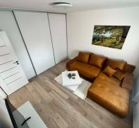 Ein Zimmer in einer 2-Zimmer-Wohnung mit einem braunen Sofa, einem Boden in Holzoptik und einem großen Schrank.