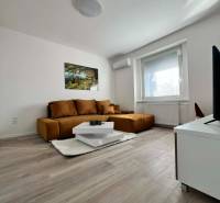 Wohnzimmer in einer 2-Zimmer-Wohnung mit Holzboden, Sofa und Couchtisch.