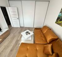 Wohnzimmer in einer Zweizimmerwohnung mit Holzboden und einem orangefarbenen Sofa.