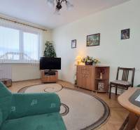 Wohnzimmer mit Holzboden, grüner Couchgarnitur und Möbeln in einer Zweizimmerwohnung.