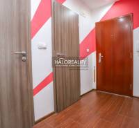 Eingangsbereich in einer 3-Zimmer-Wohnung mit Holzboden und farbiger Wand.