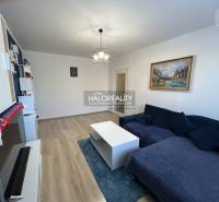 Wohnzimmer in einer 2-Zimmer-Wohnung mit Holzboden und ausziehbarem Sofa.