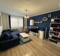 Wohnzimmer mit dunkelblauer Wand, Sofa, Holzboden und Möbeln in einer Zweizimmerwohnung.