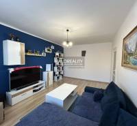 Helles Wohnzimmer in einer 2-Zimmer-Wohnung, blaue Wand, Sofa, Fernseher und Boden mit Holzdekor.