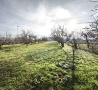 Garten bei einem Einfamilienhaus in Lúčnica nad Žitavou mit Bäumen und Rasenfläche.