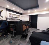 Ein Zimmer in einem Einfamilienhaus mit einer Bar, einem Computertisch und zwei Katzen.