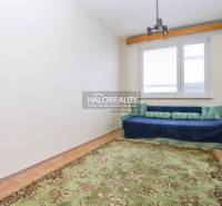 Einfaches Zimmer mit Teppich und Sofa in einer 3-Zimmer-Wohnung, Boden mit Holzdekor.